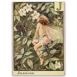 پوستر پری کد fairypo10