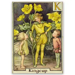 پوستر پری کد fairypo11