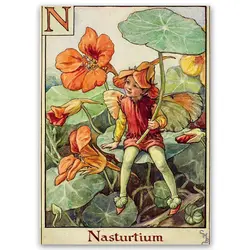 پوستر پری کد fairypo14