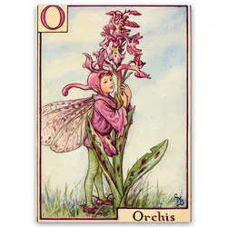 پوستر پری کد fairypo15