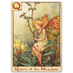 پوستر پری کد fairypo17