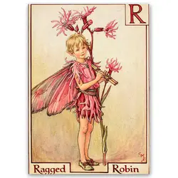 پوستر پری کد fairypo18