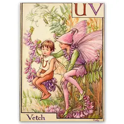 پوستر پری کد fairypo21