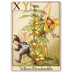 پوستر پری کد fairypo23