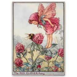 پوستر پری کد fairypo31