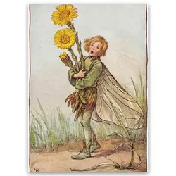 پوستر پری کد fairypo26