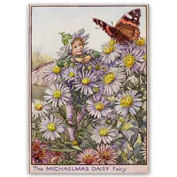 پوستر پری کد fairypo25