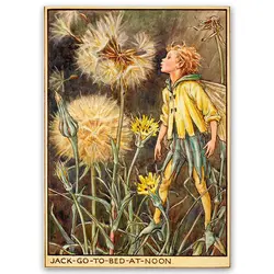 پوستر پری کد fairypo34