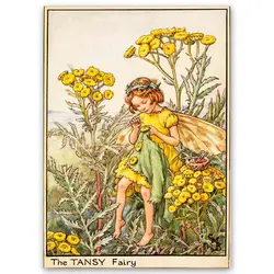 پوستر پری کد fairypo33