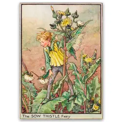 پوستر پری کد fairypo32