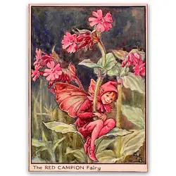 پوستر پری کد fairypo30