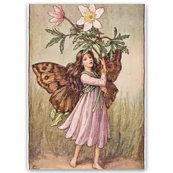 پوستر پری کد fairypo28