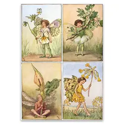 پک پوستر 4 عددی پری کد SPfairypack5