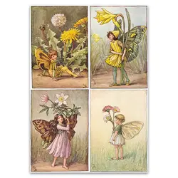 پک پوستر 4 عددی پری کد SPfairypack2