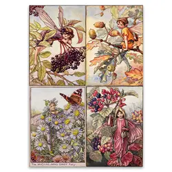 پک پوستر 4 عددی پری کد AUfairypack1