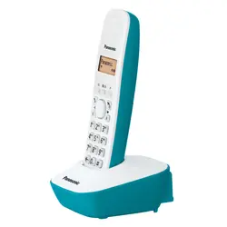 تلفن بی سیم Panasonic KX-TG1611 + گارانتی