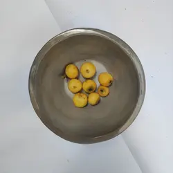 کاسه میوه خوری آجیل خوری سرامیکی دست ساز ملکه خورشید طرح مگنولیا مدل 06-02