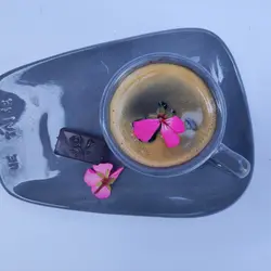 فنجان نعلبکی اسپرسو خوری  رنگ طوسی 6 عددی سرامیکی