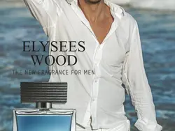 عطر و ادکلن مردانه الیسیس وود برند الیسیس فشن  ( ELYSEES FASHION -  ELYSEES WOOD )