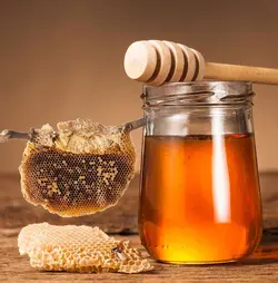 عسل وحشی سرشاخه درجه يک