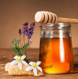 عسل گون فصل بهار