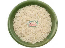 برنچ کشت دوم طارم محلی