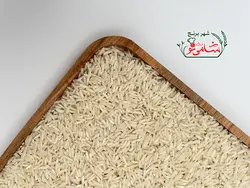 برنج طارم مجلسی گنبد ممتاز