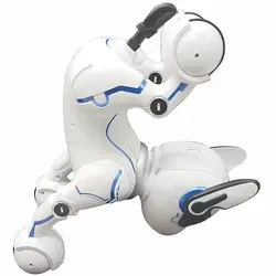 سگ کنترلی رباتیک