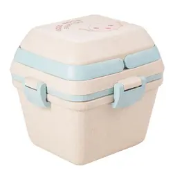 ظرف غذای بامبو ارگانیک 2 طبقه