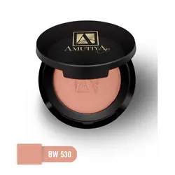 رژگونه پودری آموتیا BW 530