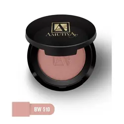 رژگونه پودری آموتیا BW 510
