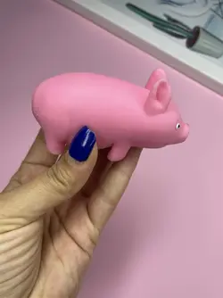 فیجت شنی خوک