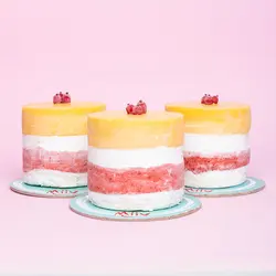 مینی کیک انبه توت فرنگی