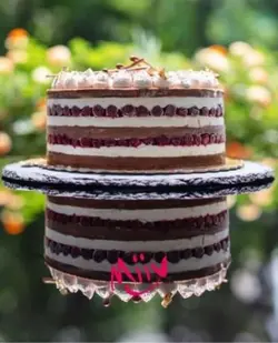 کیک بستنی Black Forest