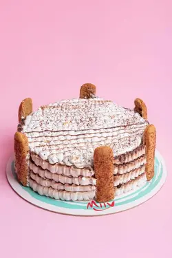 کیک بستنی تیرامیسو