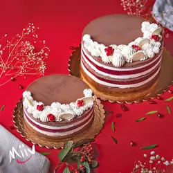 کیک بستنی شکلات و انار