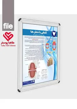پوستر آشنایی با دندان ها- مجموعه پوسترهای دندانپزشکی (آموزش بیمار)