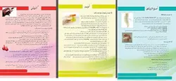 پوسترهای راهنمای تهیه نمونه های آزمایشگاهی کشت خون، نمونه اداری و مایع مغزی نخاعی توسط پرستاران