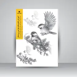 آموزش گام‌به‌گام طراحی پرندگان (ارائه جزئیات، اجرای بافت، کار با عکس، خلق اثر هنری زنده)