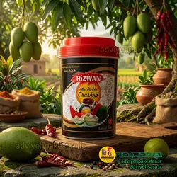 ترشی انبه بدون هسته مخلوط روغنی رضوان_ اصل پاکستان_لاکچری در دو وزن نیم و یک کیلوئی
