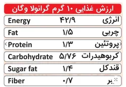 گرانولا وگان بری - وگان ویگر