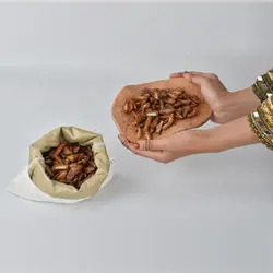 کنگ خشک (چیپس خرما)