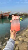 بطری آب و جاگ واتر برند مکس هوم 1/5 لیتر
