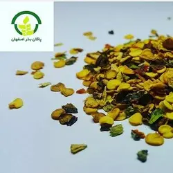 بذر فلفل دلمه ای