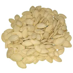 تخمه کدو شور گوشتی