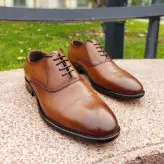 کفش مجلس تمام چرم مدل 1843 زیده نئولایت مدل یریش