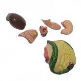 مولاژ بدن ۸ تکه (مدل عروسکی)