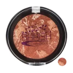 رژگونه تراکوتا باریش مدل Silky touch شماره 201