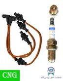 پک ویژه افزایش شتاب و قدرت خودروهای دوگانه‌ سوز مناسب برای 405 پارس سمند