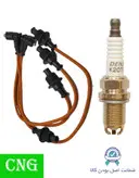 پک ویژه افزایش شتاب و قدرت خودروهای دوگانه‌ سوز مناسب برای 405 پارس سمند